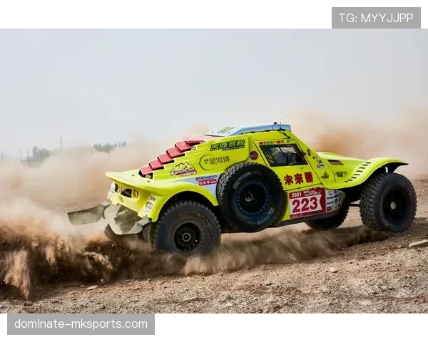 秘鲁队实力大增，未来赛事表现引发广泛关注