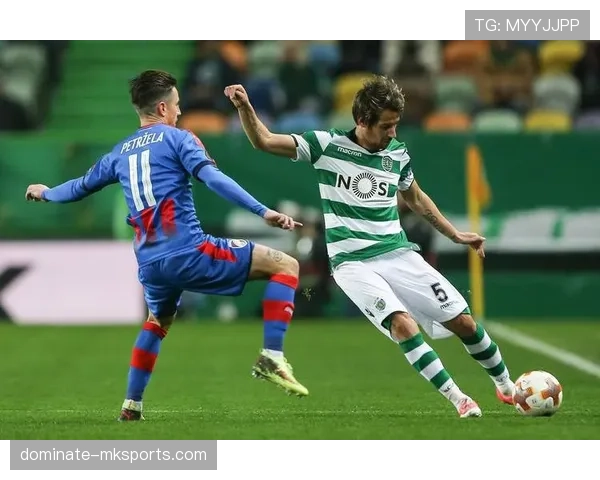 德甲球队启动阵容升级战略,全面提升竞技实力与市场吸引力 德甲球队启动阵容升级战略,全面提升竞技实力与市场吸引力